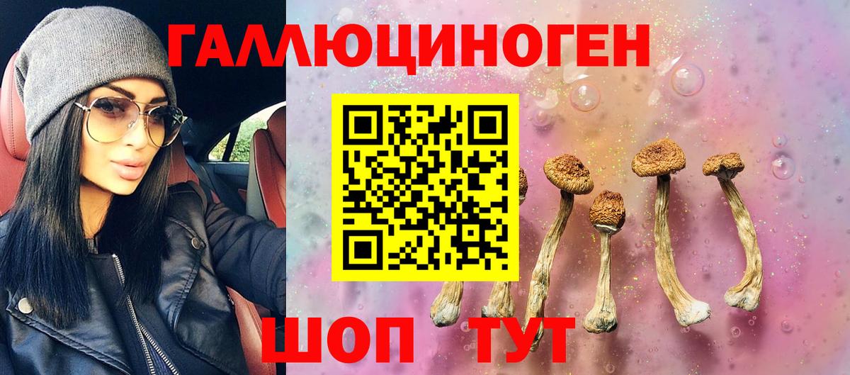 Псилоцибиновые грибы прущие грибы  Псилоцибиновые грибы Psilocybe  Вход с VPN  Химки 