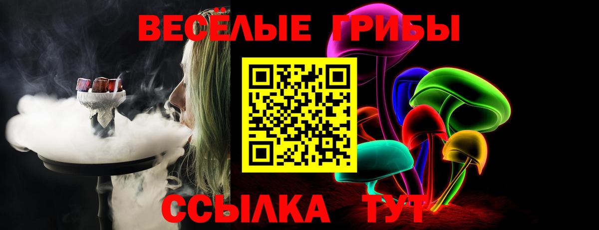 Псилоцибиновые грибы Cubensis Химки